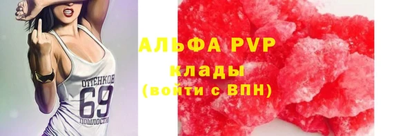 прущие крисы Абаза