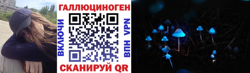 Галлюциногенные грибы Psilocybine cubensis  где купить   Щёлково 